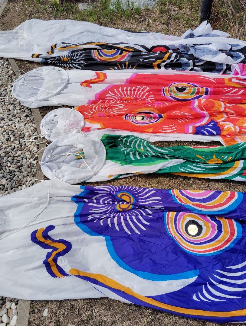 鯉のぼり大型8m 7m 6m 5m 4m カラフルな鯉のぼり 6点セット