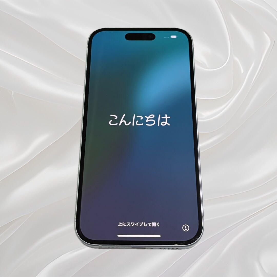 Apple iPhone15 256GB 本体　SIMフリー