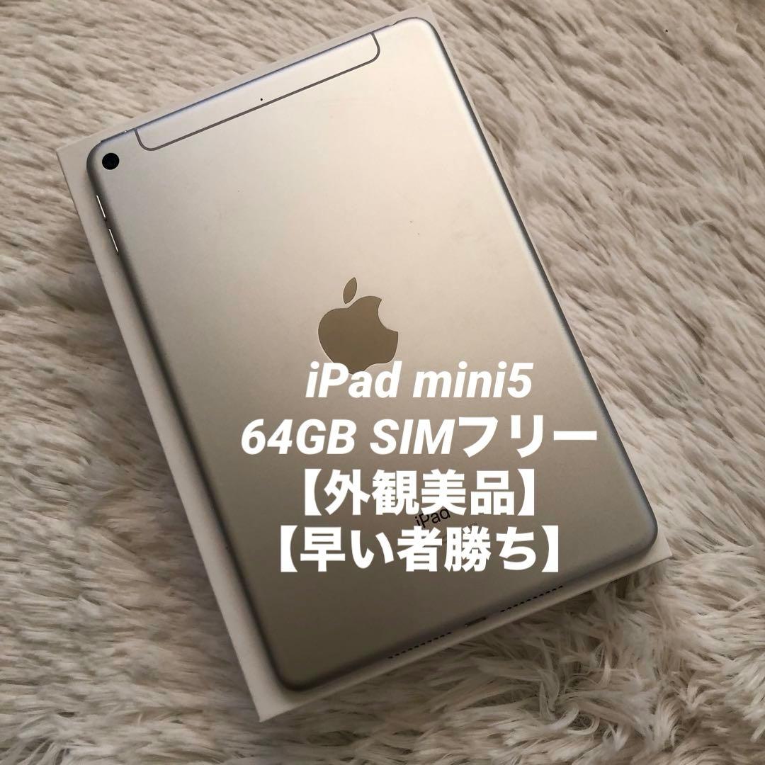 【1/2販売終了】iPad mini5 64GB SIMフリー 【すぐ発送】