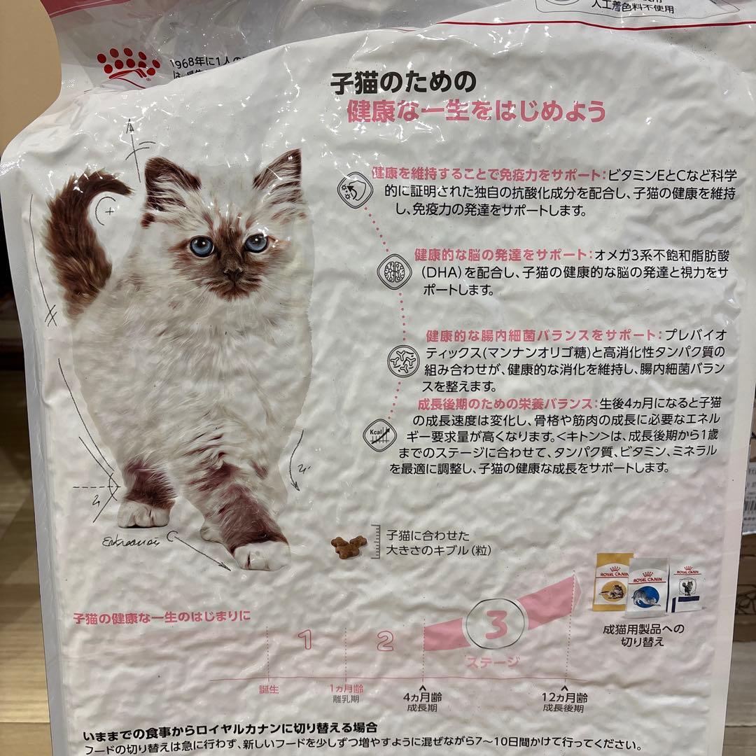  CANIN 子猫用 ドライフード 10kg
