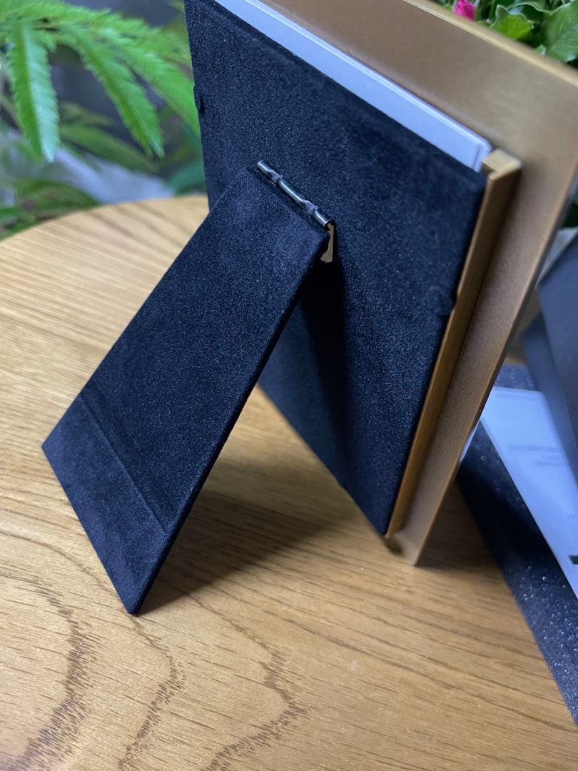 【新品未使用／非売品】東京ディズニーシー ホテルミラコスタ フォトフレーム