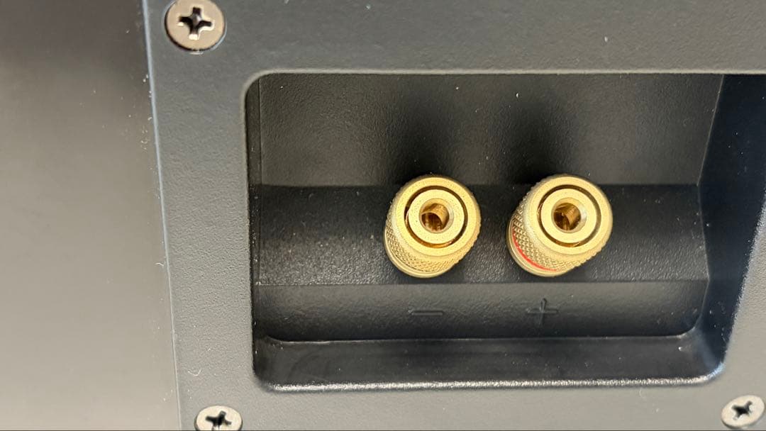 DENON SC-C55SG センタースピーカーブラック