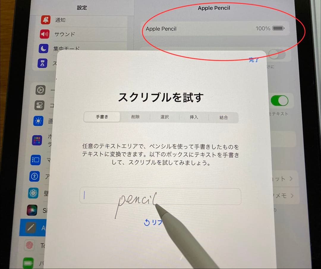 Apple Pencil 第1世代　美品　動作確認済み　アップルペンシル