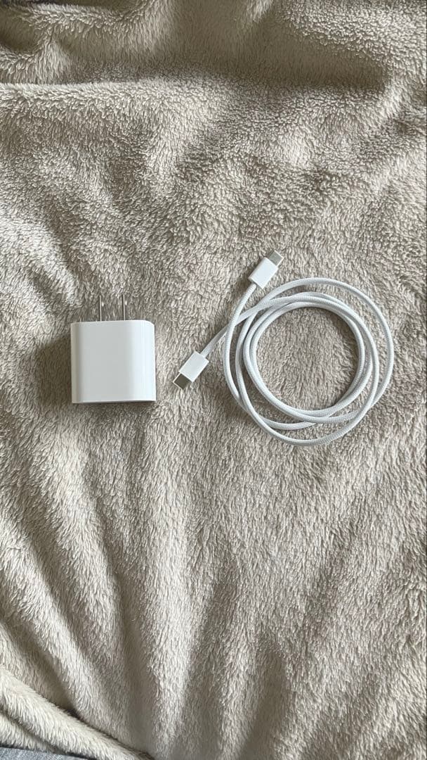 iPad Air 11インチ M3 256GB WiFi