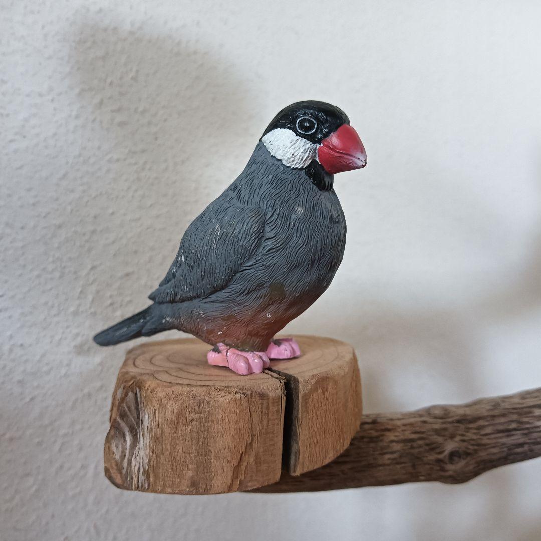 バードアスレチックジム ⑩ 天然木 自然木 流木 インコ おもちゃ