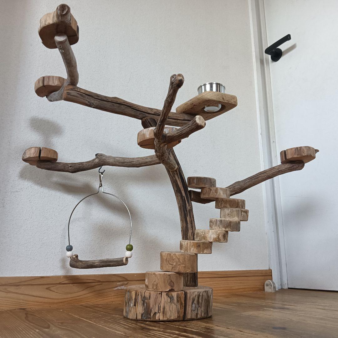 バードアスレチックジム ⑩ 天然木 自然木 流木 インコ おもちゃ