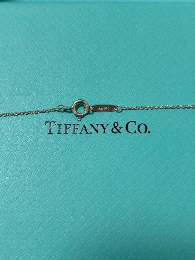 TIFFANY&Co. 美品ミニダブルハート ネックレス Ag925