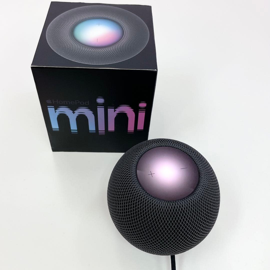 Apple Pod Mini スペースグレー A2374 #T-512