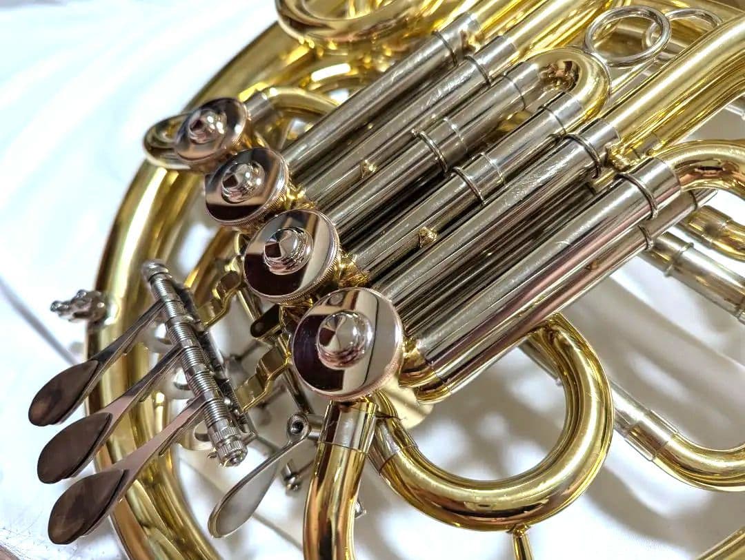 Stonvi　Elite　フルダブル / bagsケース★週末限定値下