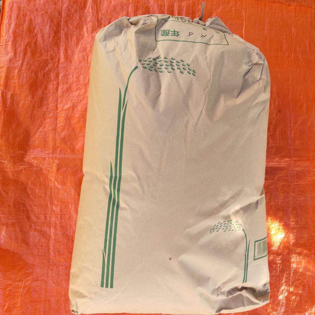 玄米30キロ　キヌヒカリ　兵庫県産