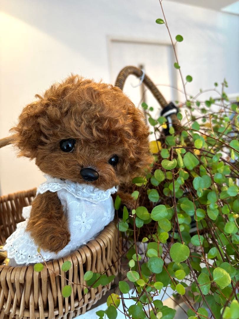 テディプードル　テディわんこ　トイプードル　 ぬいぐるみ　マルプー