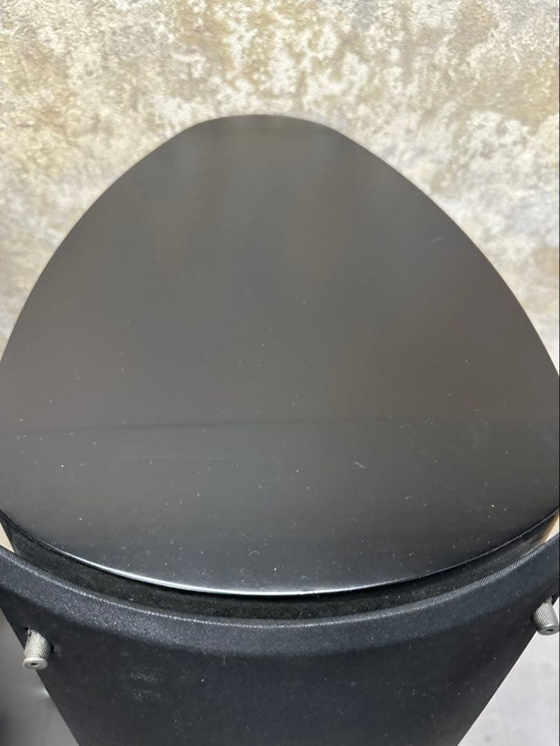 Pioneer S-1EX 000324 1本 TAD/AIR Studios