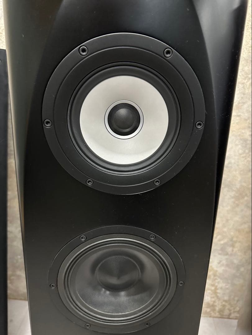 Pioneer S-1EX 000324 1本 TAD/AIR Studios