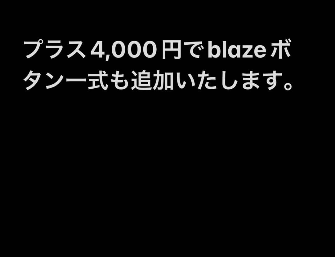 PUNK WORKSHOP Leverless S brook タイプF