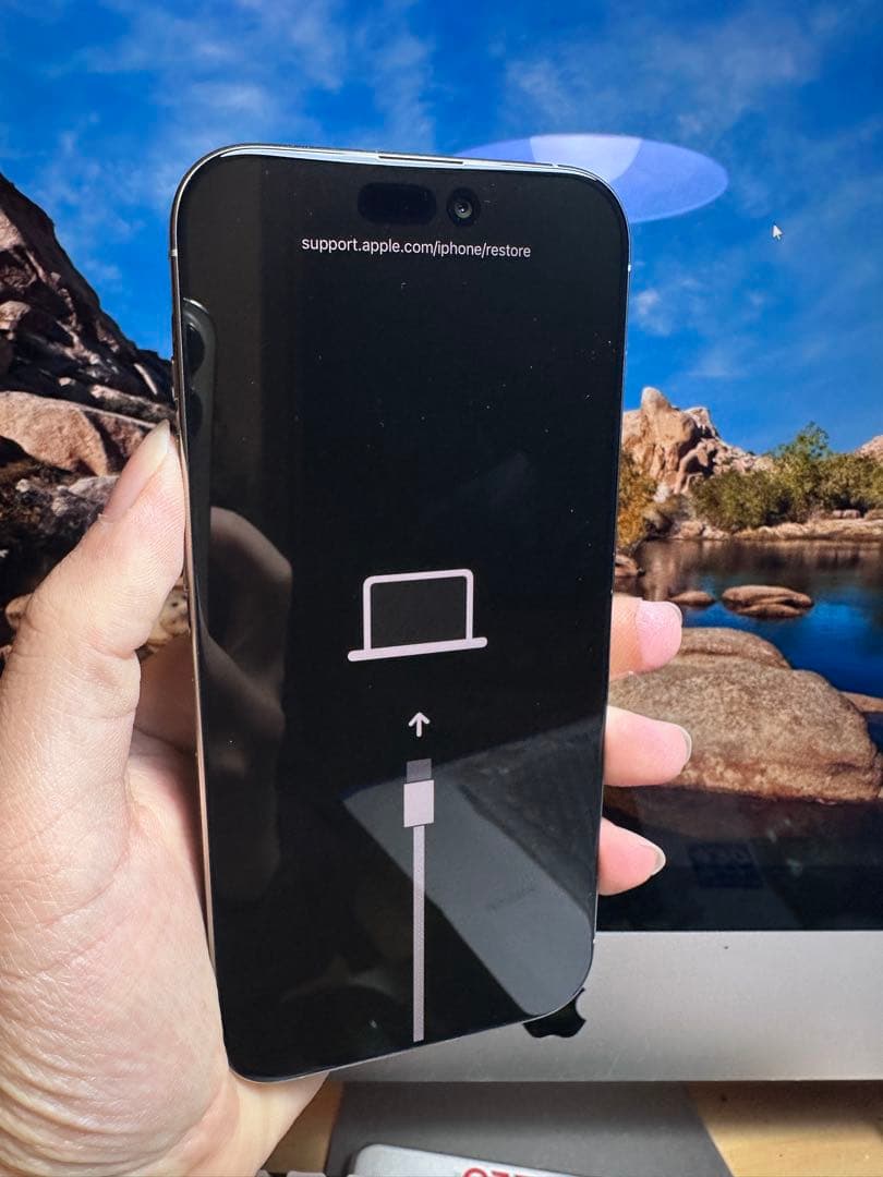 Apple iPhone 16 pro max シルバー 本体　(商品ジャック)