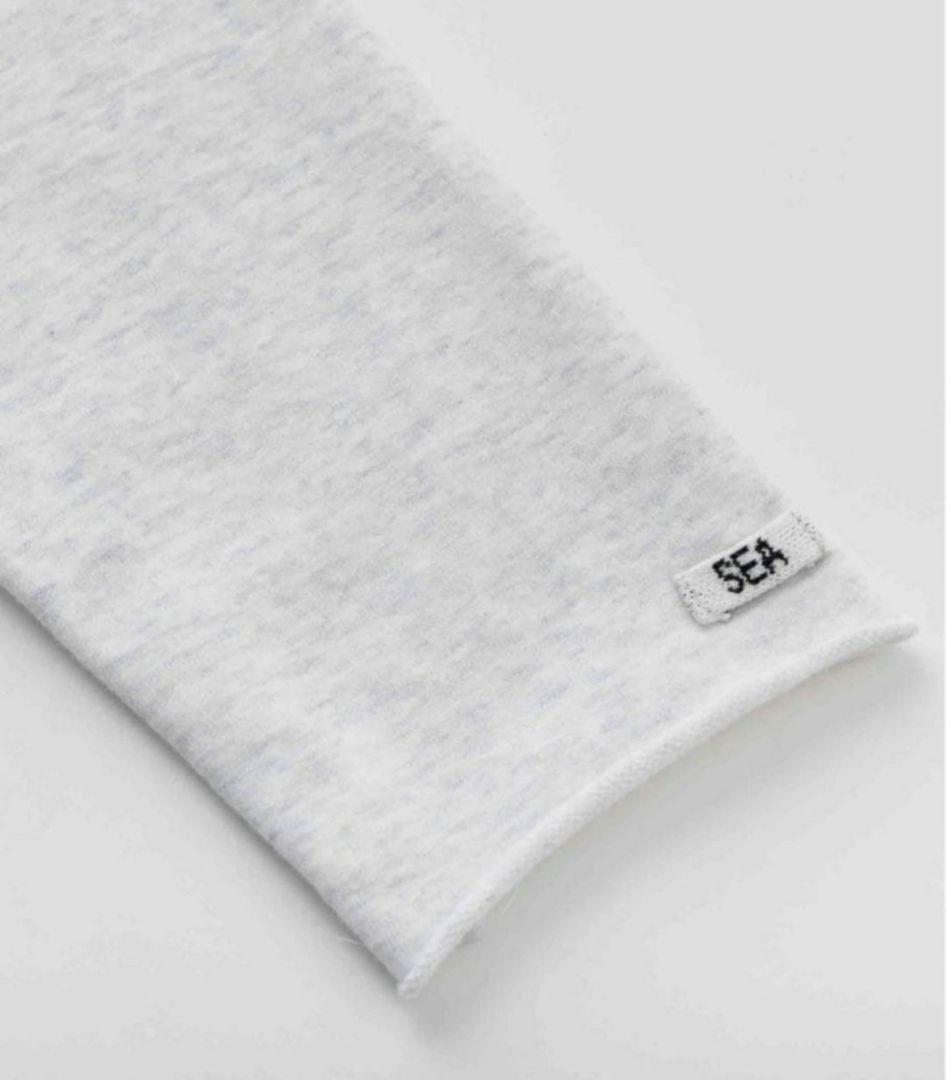 SEA セットアップ