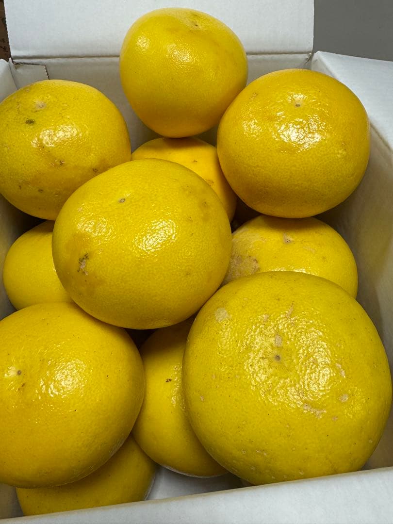 文旦　水晶文旦　みかん　好きに　　19