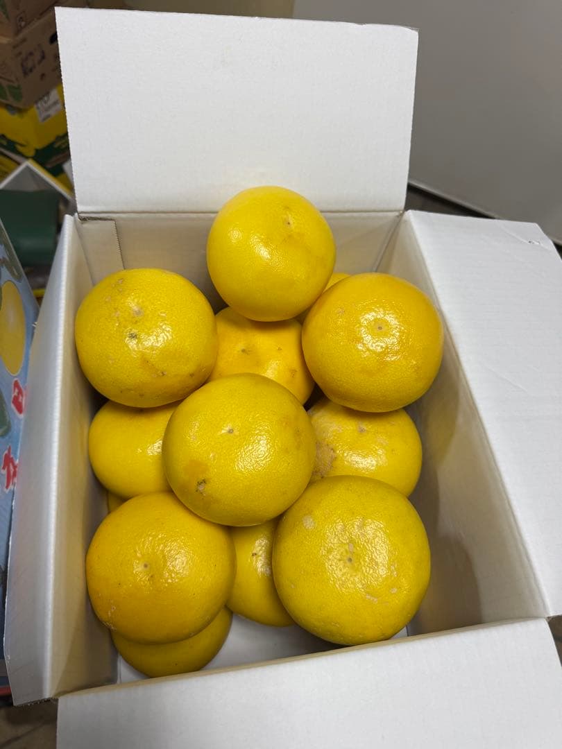 文旦　水晶文旦　みかん　好きに　　19