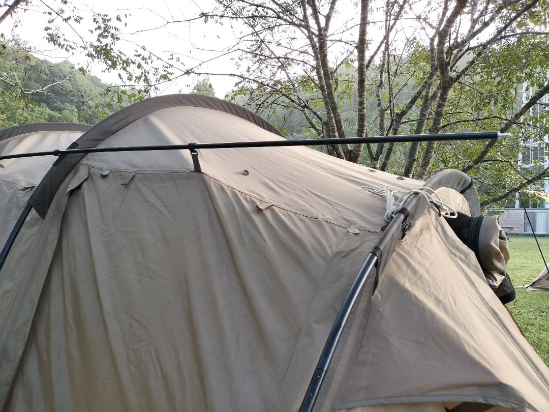 【オフシーズン割！！】サバティカル　アルニカ