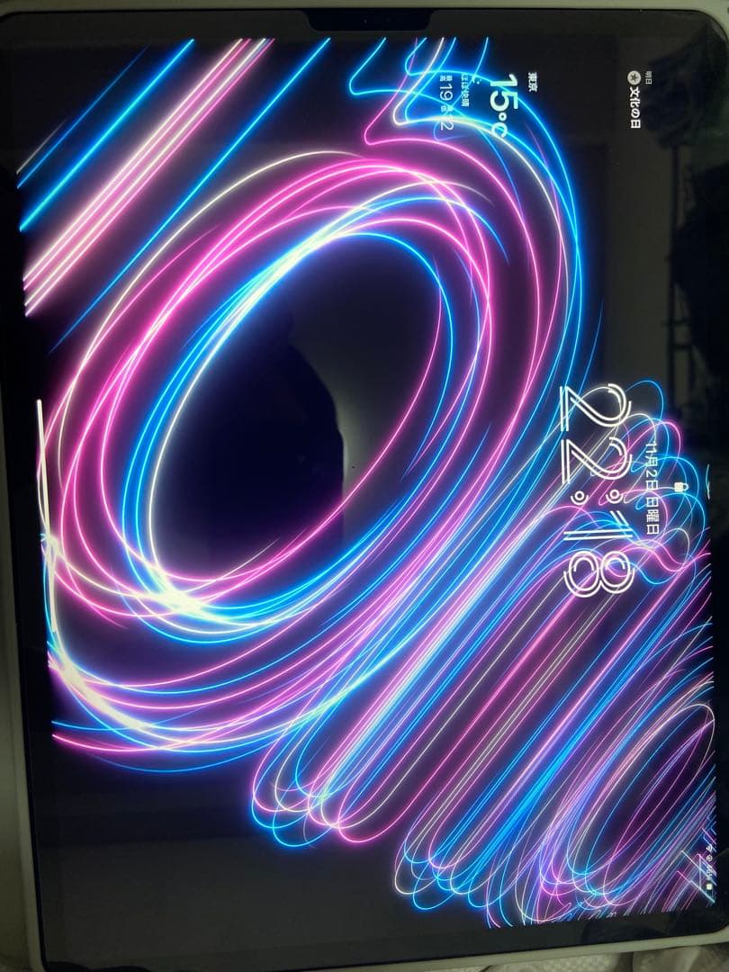 iPad Pro (12.9インチ) 第3世代 256GB 【iPadケース付】