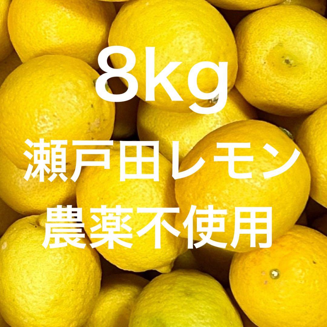 国産　瀬戸田レモン農薬不使用　　f