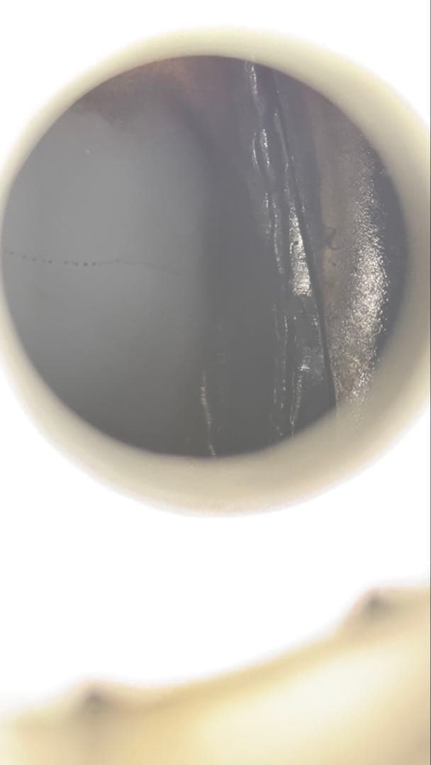 ハーレー　FXDL ダイナ　ローライダー　タンク　フェンダー