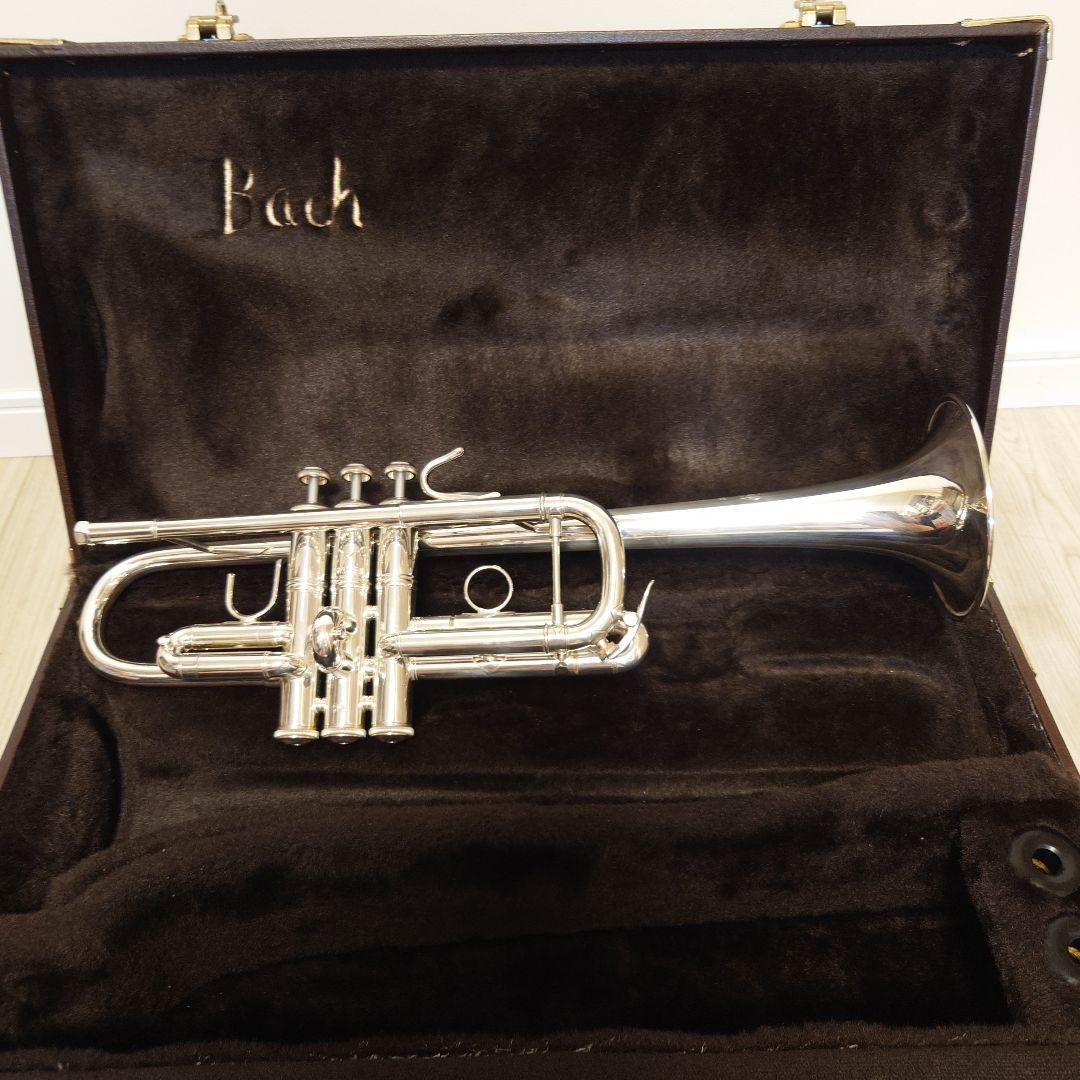 Bach Stradivarius Model 239 トランペット本体　c管