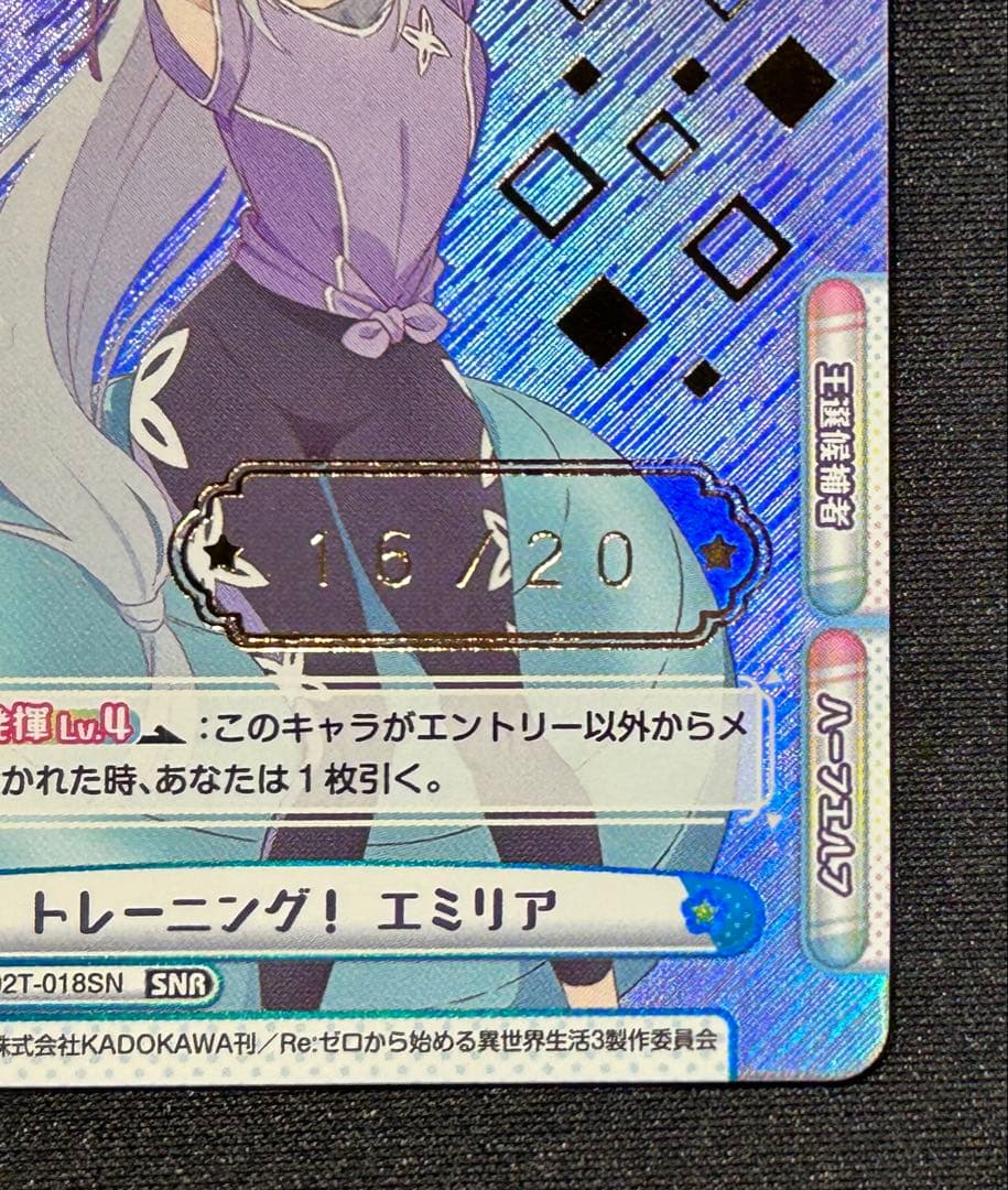 Reバース　トレーニング エミリア シリアル 箔押し