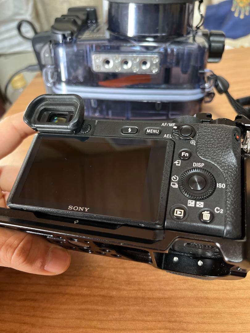 SONY α6400 + Sigma 19mm f2.8 + 水中ケージ