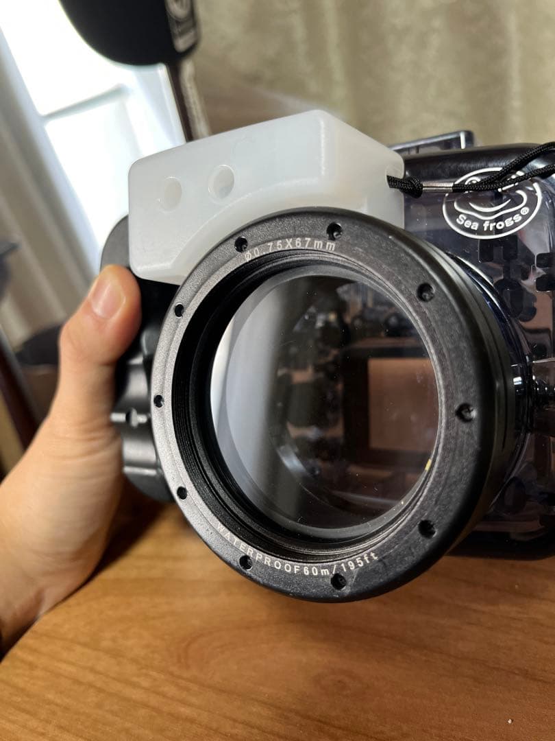 SONY α6400 + Sigma 19mm f2.8 + 水中ケージ