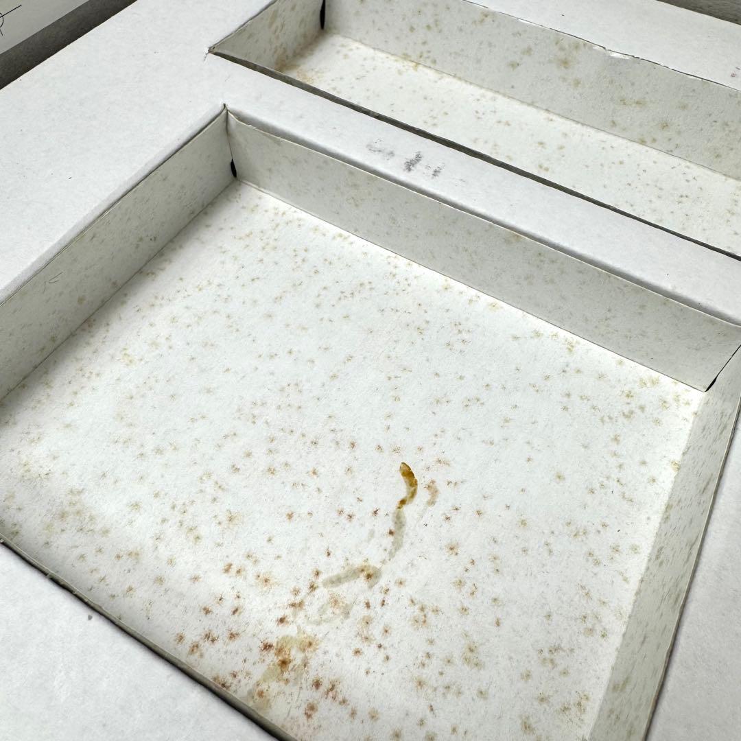 金持ち父さんキャッシュフロー101ボードゲーム 英語版 説明書日本語訳あり