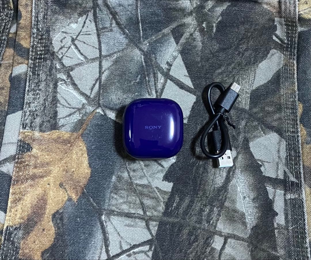 SONY LinkBuds Fit WF-LS910N バイオレット 美品