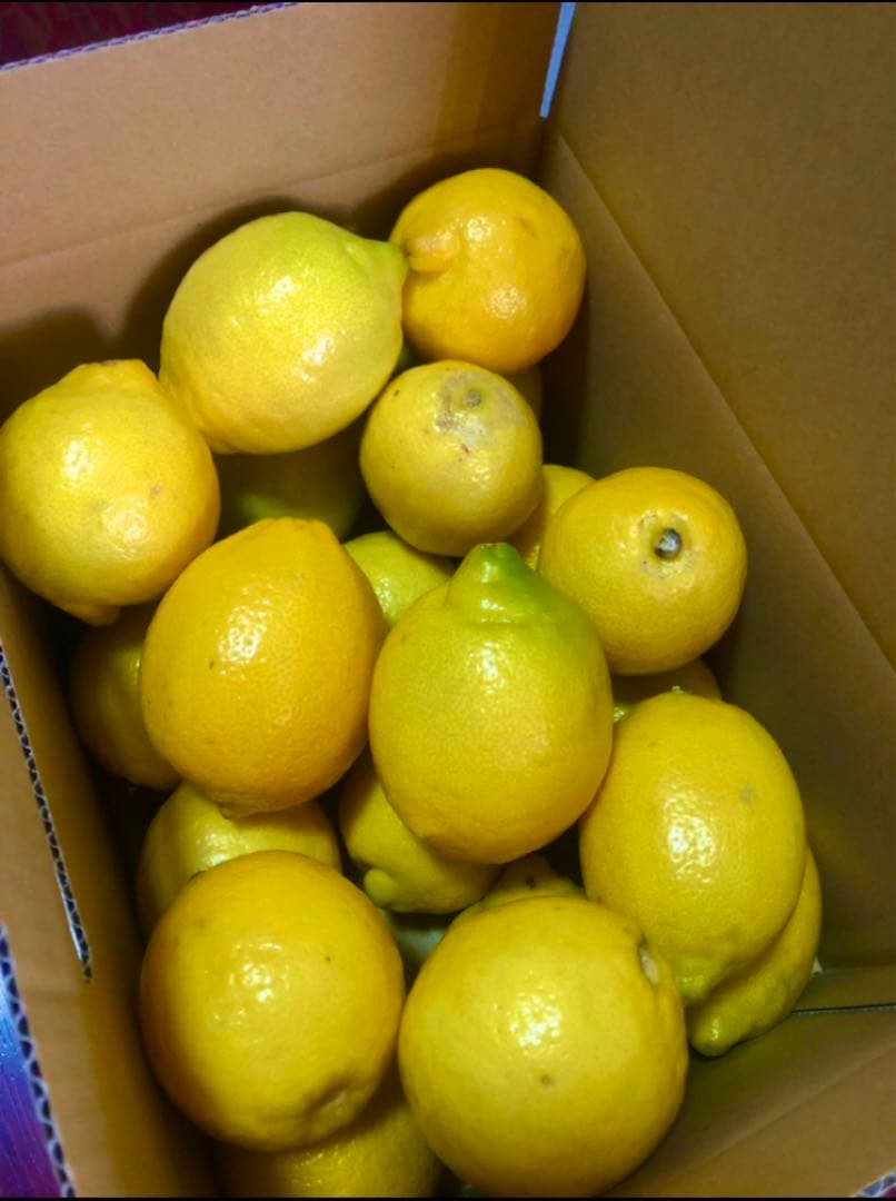 Ⅱ国産瀬戸内レモン10Kg