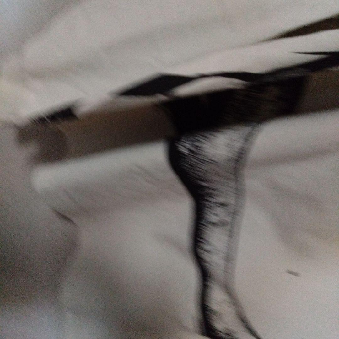 A*P様 グラニフ　鋼の錬金術師 ロングtシャツ 未使用