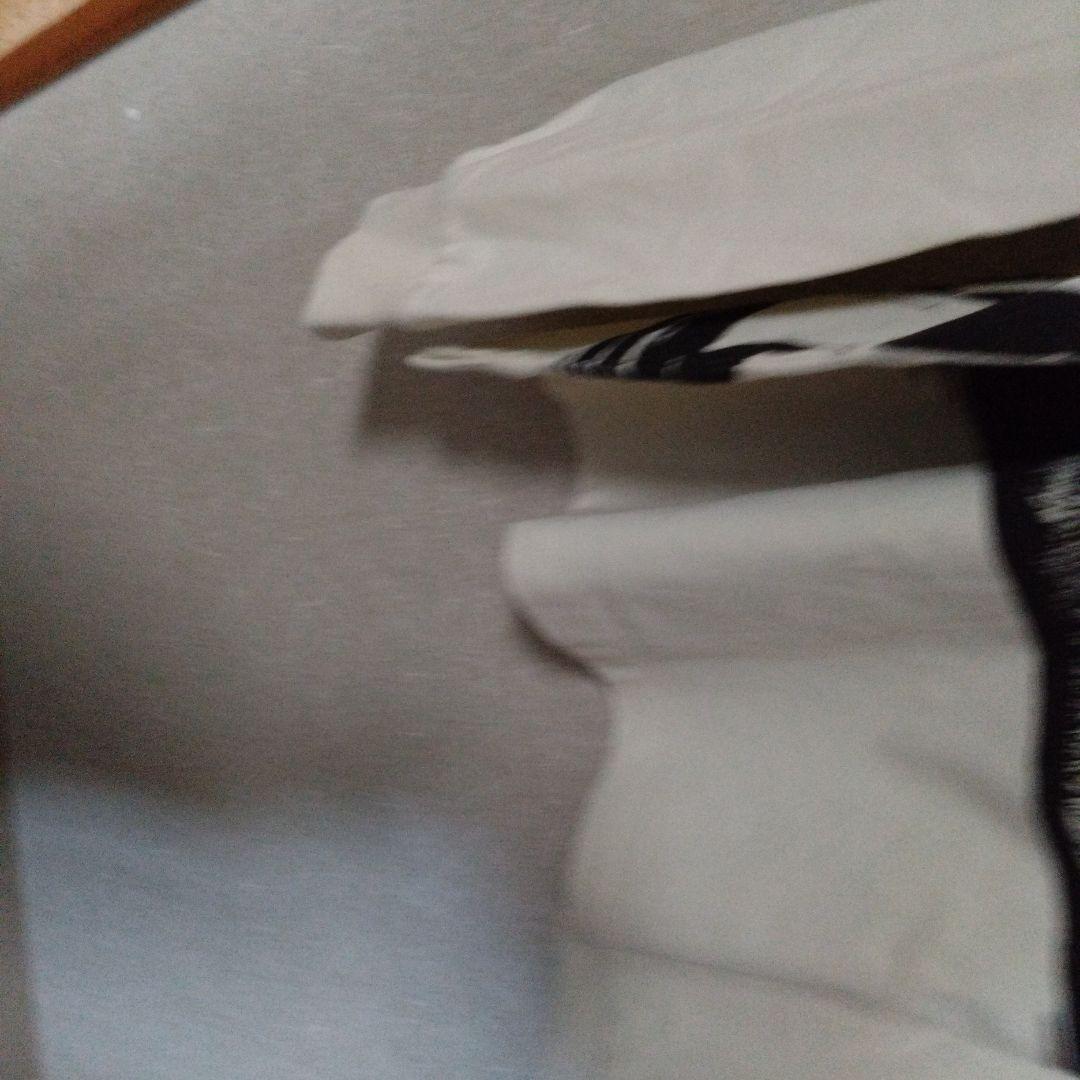 A*P様 グラニフ　鋼の錬金術師 ロングtシャツ 未使用