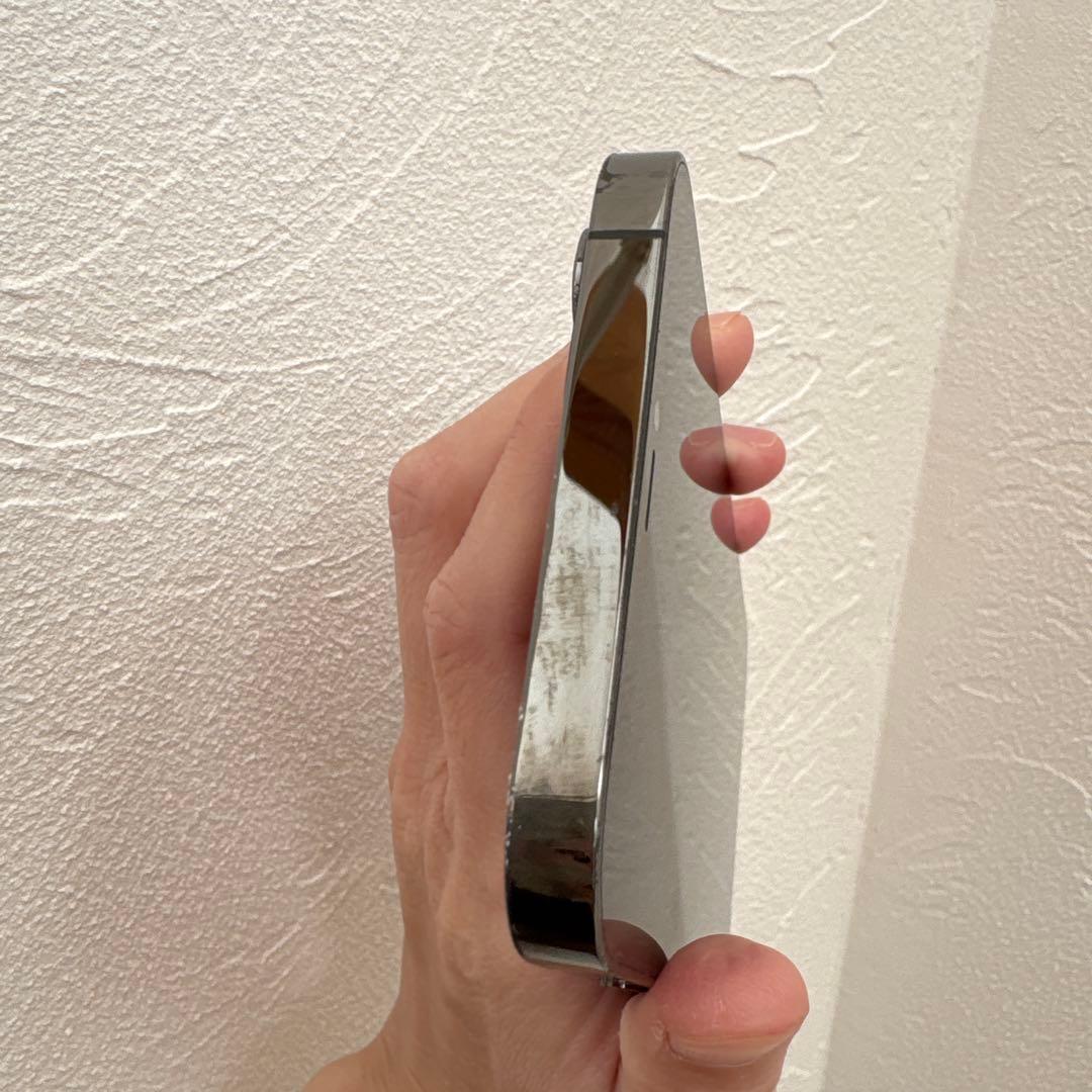 moshi　　iPhone12 pro max 128GB