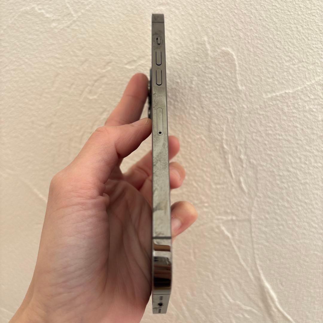 moshi　　iPhone12 pro max 128GB