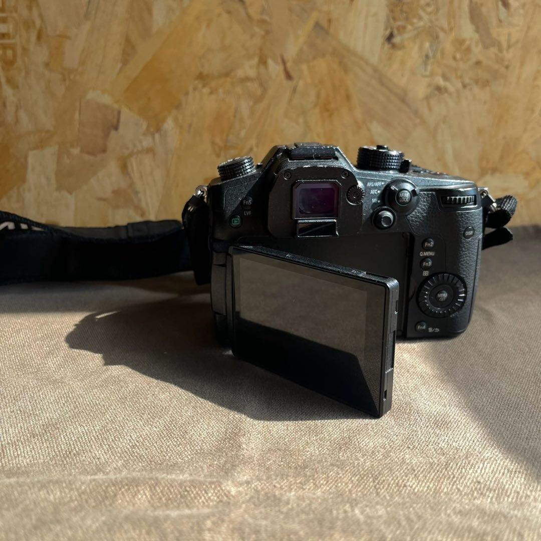 Panasonic LUMIX GH5 ボディ DC-GH5
