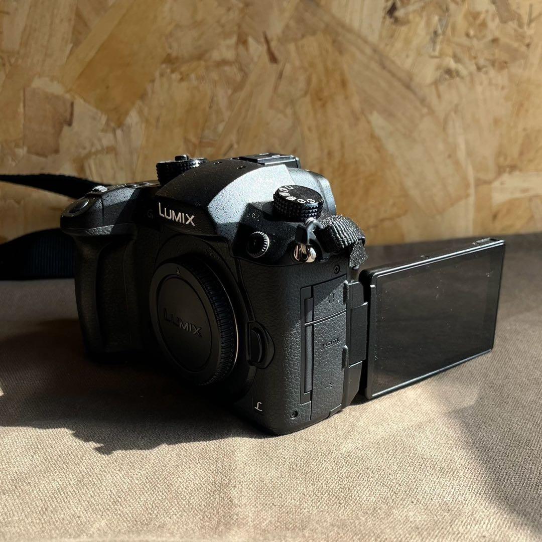 Panasonic LUMIX GH5 ボディ DC-GH5
