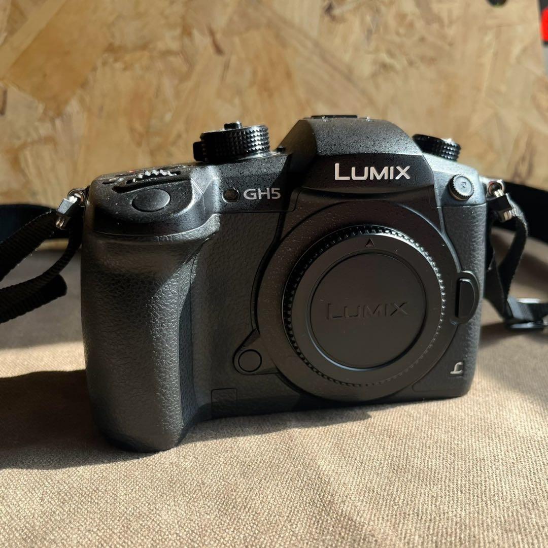 Panasonic LUMIX GH5 ボディ DC-GH5