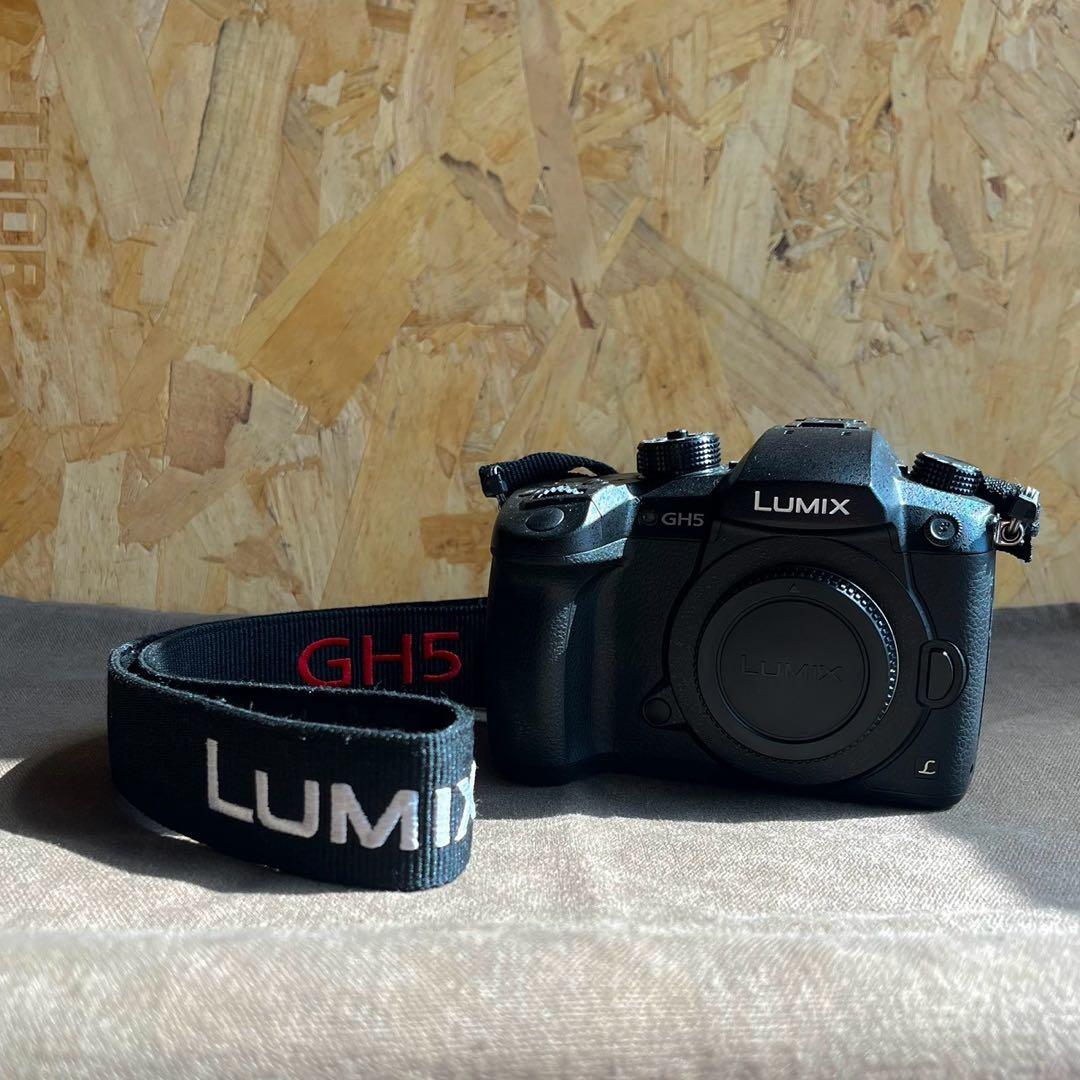 Panasonic LUMIX GH5 ボディ DC-GH5