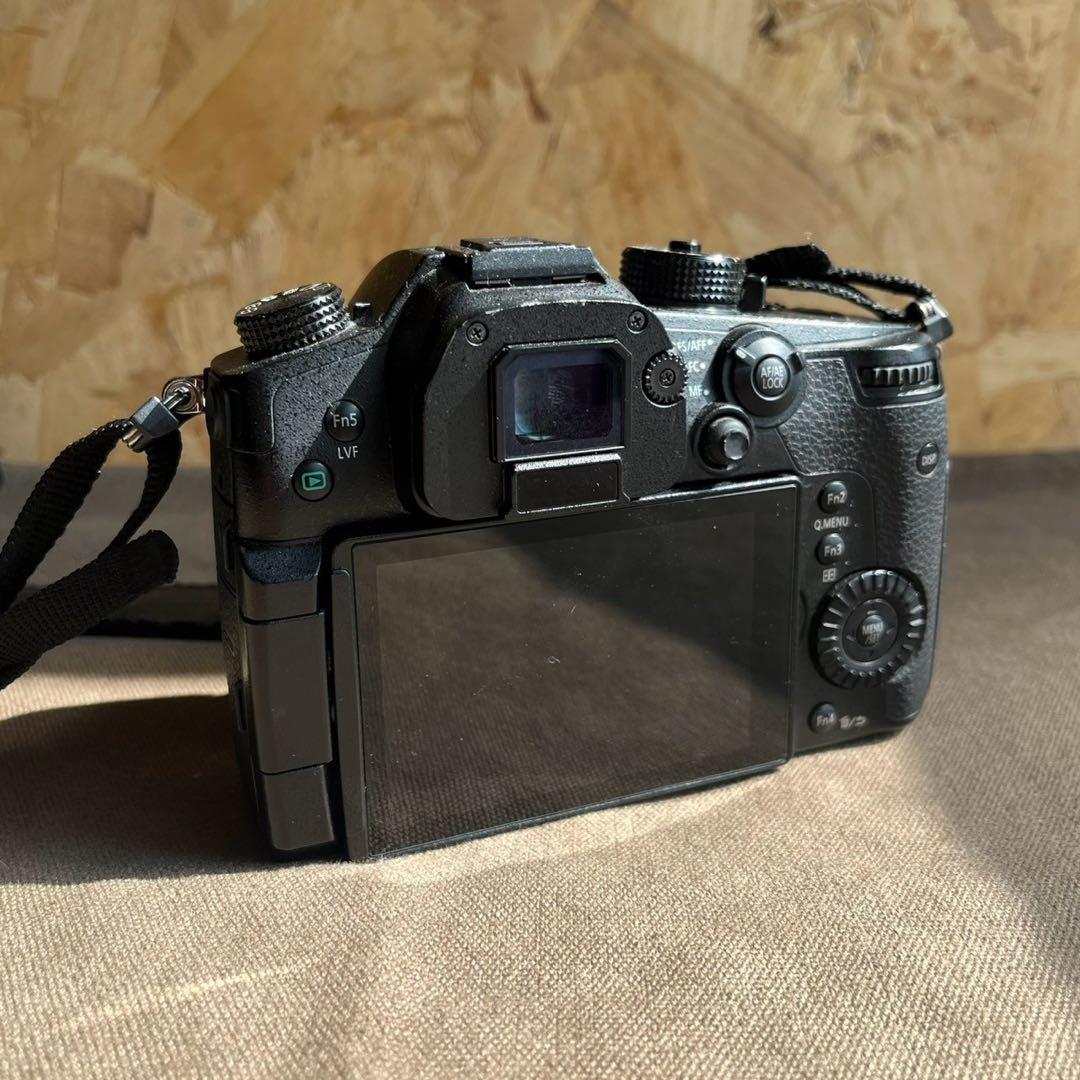 Panasonic LUMIX GH5 ボディ DC-GH5