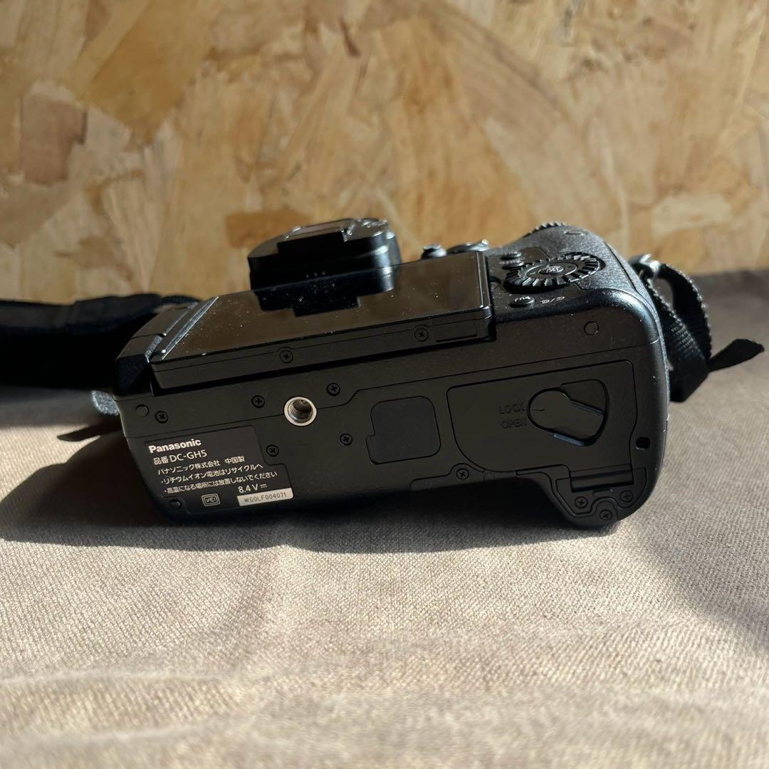 Panasonic LUMIX GH5 ボディ DC-GH5