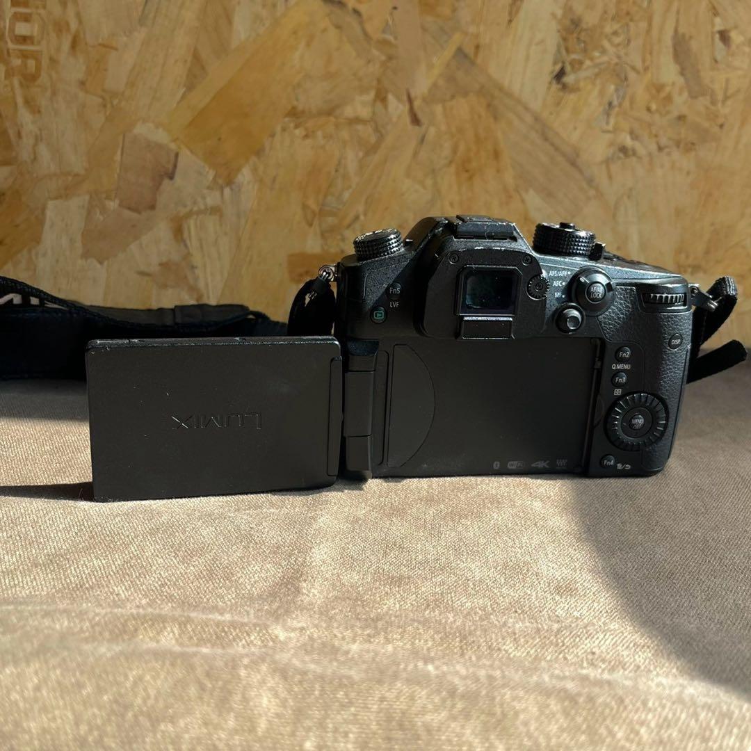 Panasonic LUMIX GH5 ボディ DC-GH5