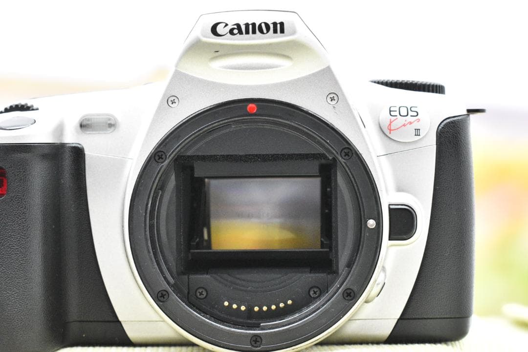 フィルムカメラ Canon EOS Kiss III + SIGMA 100-300mm