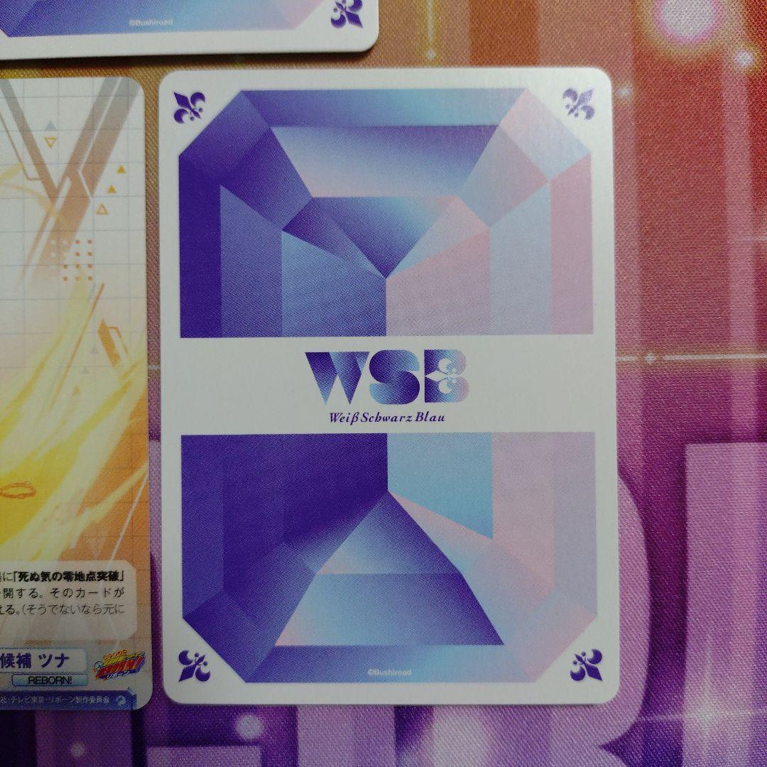 家庭教師ヒットマンREBORN　ヴァイスシュバルツブラウ　WSB　ツナ　VRR