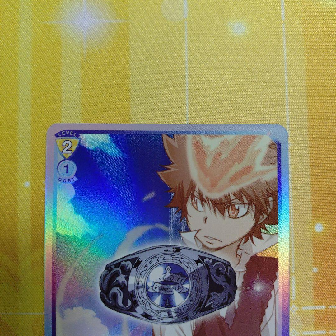 家庭教師ヒットマンREBORN　ヴァイスシュバルツブラウ　WSB　ツナ　VRR