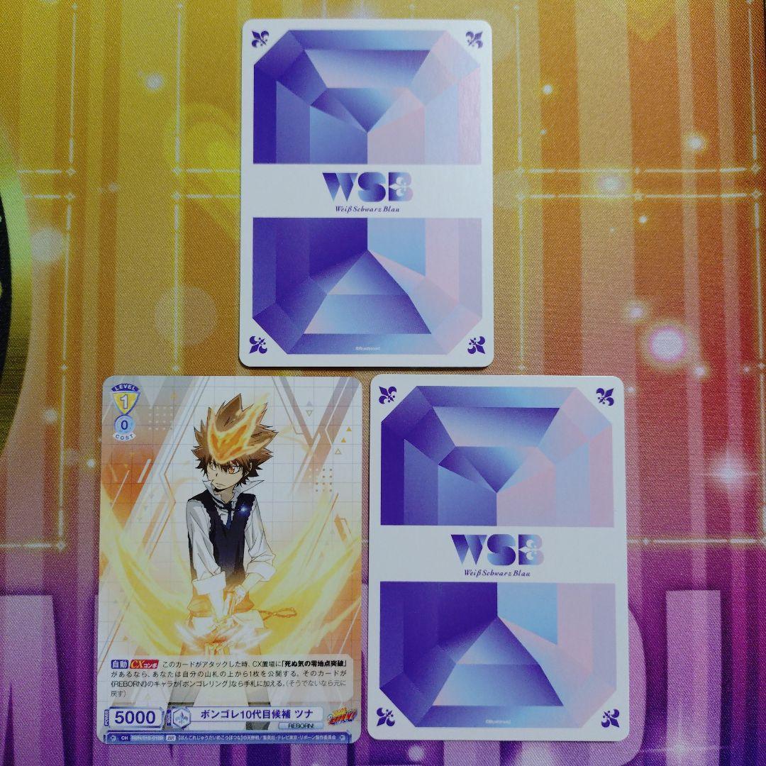 家庭教師ヒットマンREBORN　ヴァイスシュバルツブラウ　WSB　ツナ　VRR