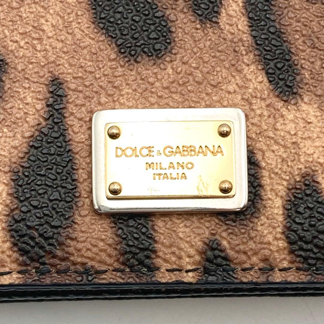Happy shop✨ドルチェ&ガッバーナ カードケース 名刺 レオパード
