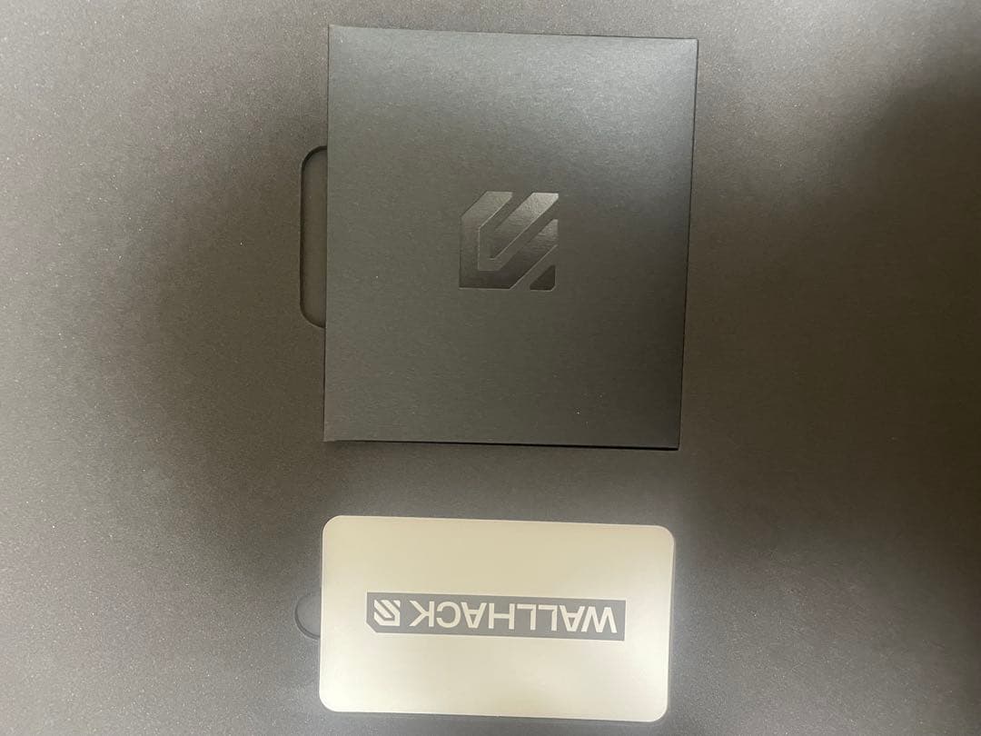 マウス・トラックボール wallhack sp-004 frenzy sora